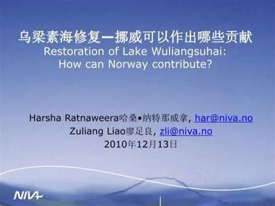 破局藍海 在線手游版權(quán)代理的掘金之道與文化深耕